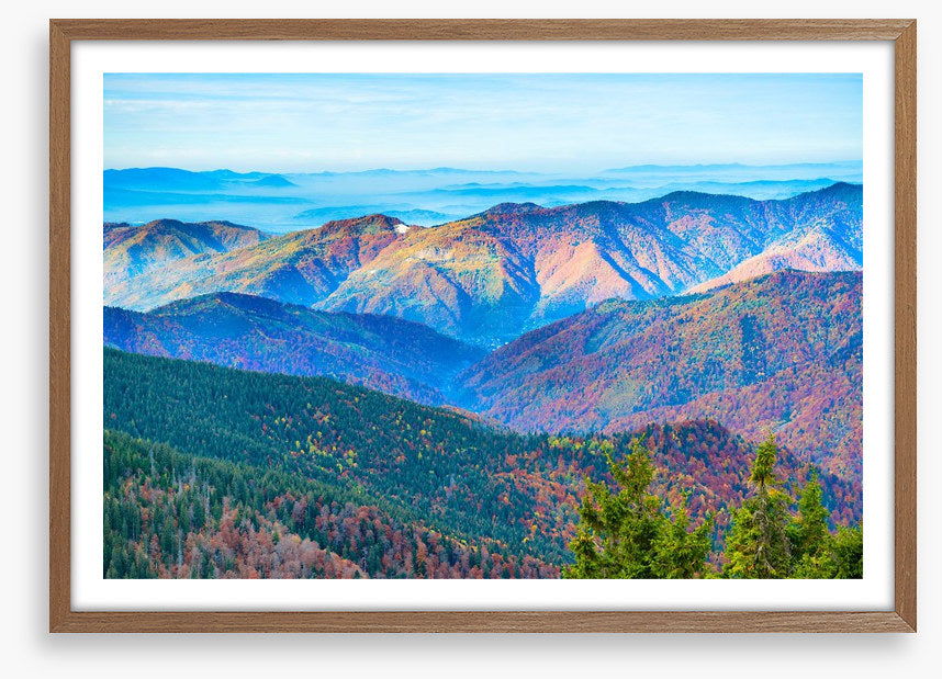 Mountain morning