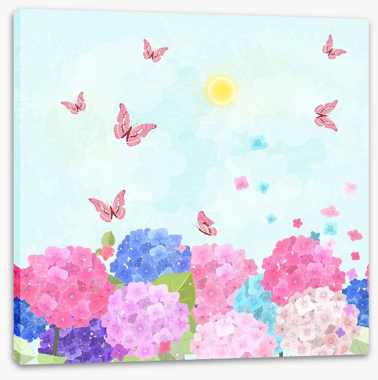Hydrangea flutter