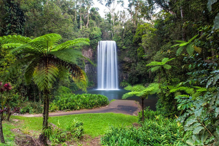 Millaa Millaa Falls
