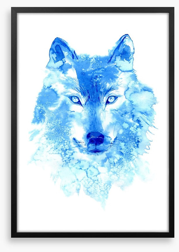 Blue wolf