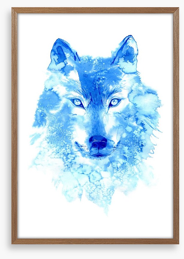 Blue wolf
