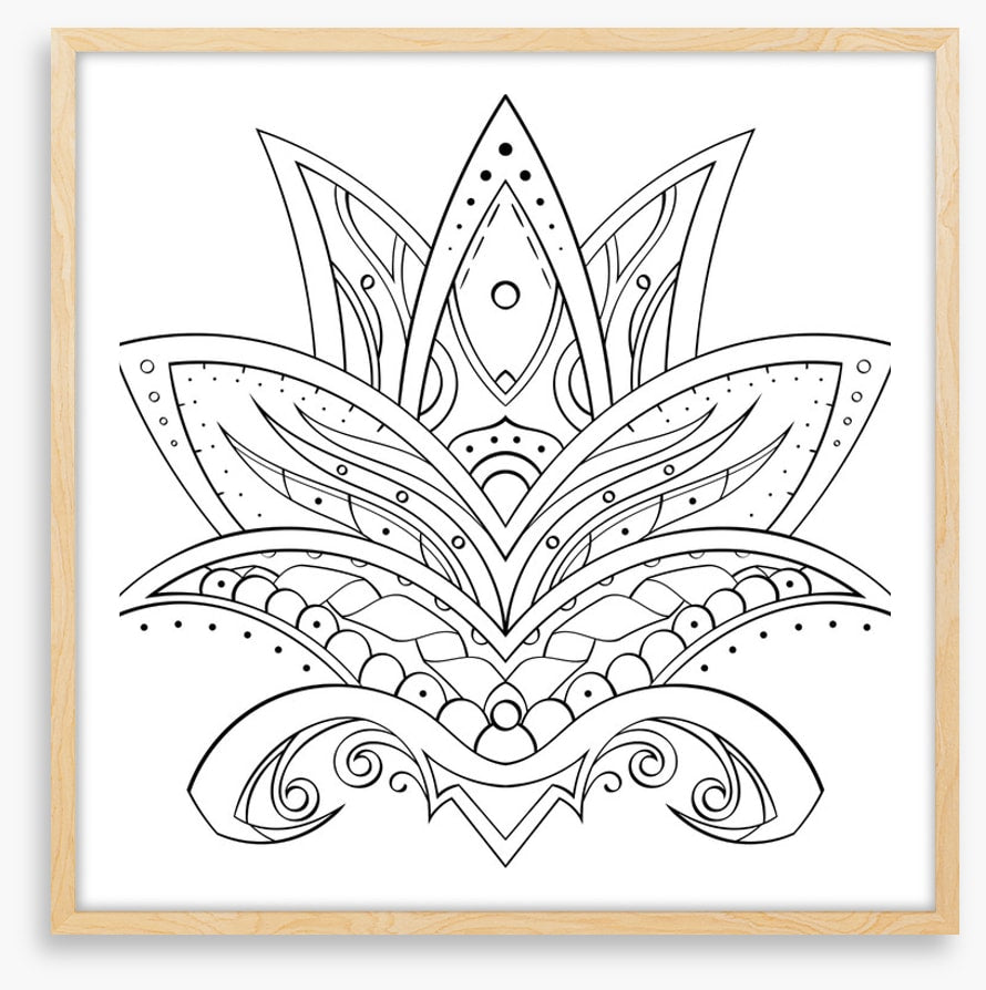 Colour me lotus