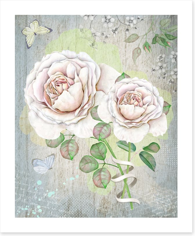 Fresh from the rose bush