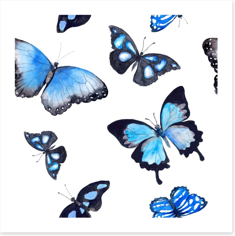 Butterflies of blue