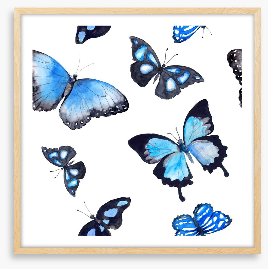 Butterflies of blue