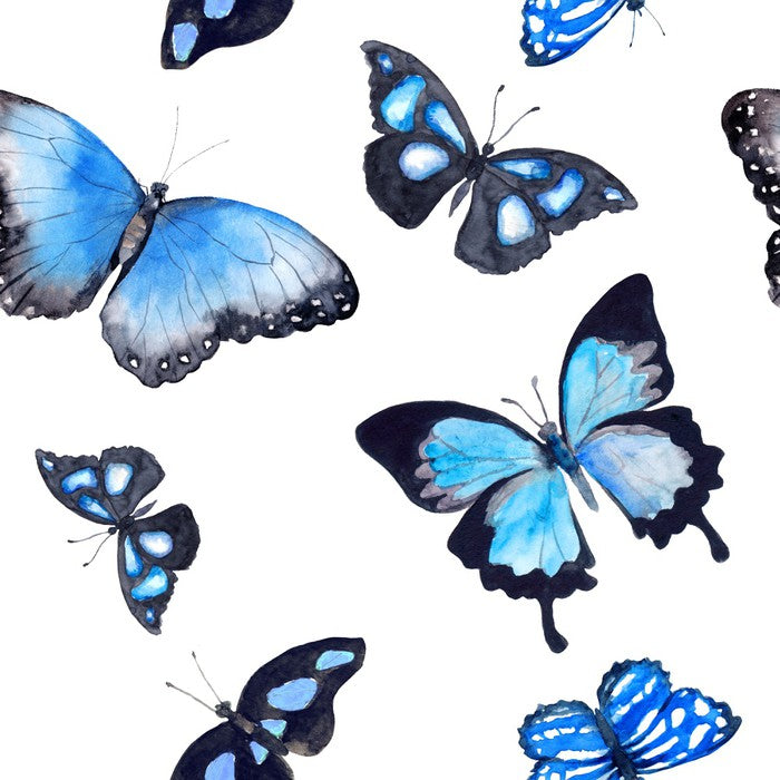Butterflies of blue