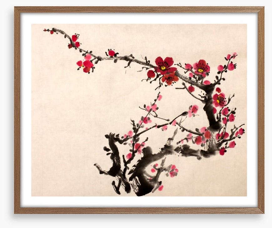 Red plum blossom