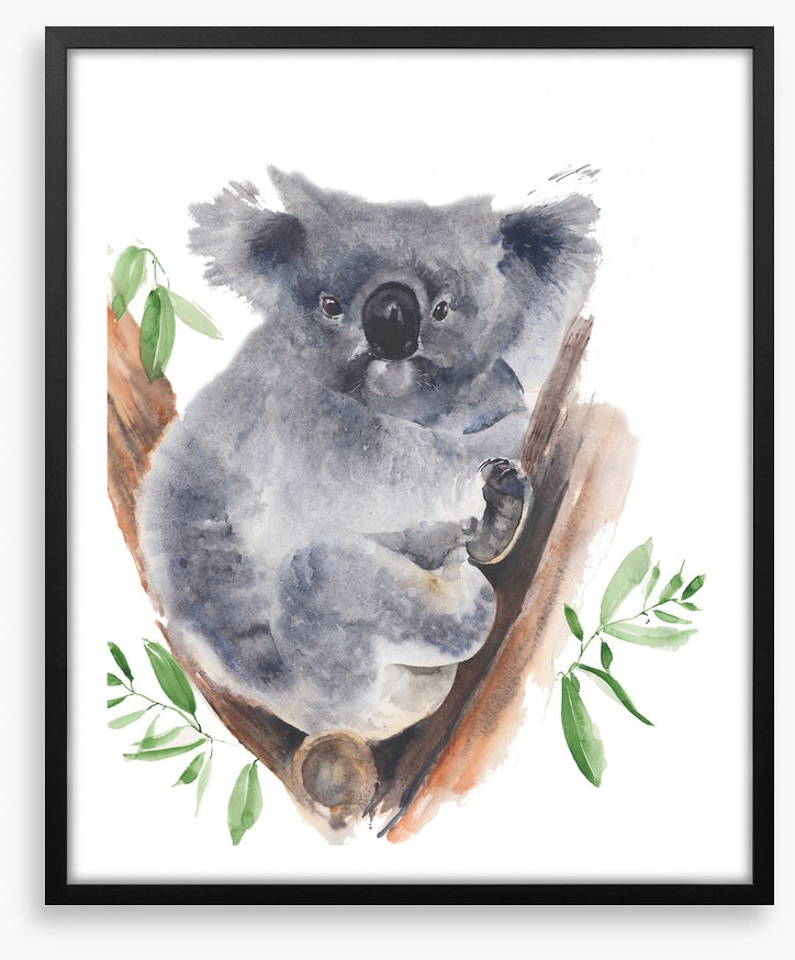 Gum tree koala