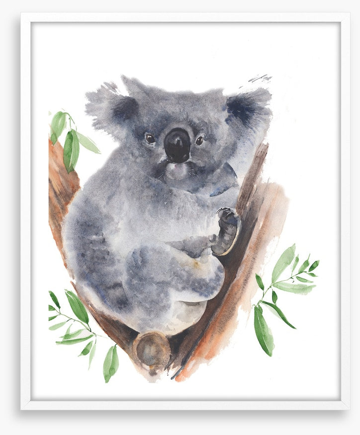 Gum tree koala