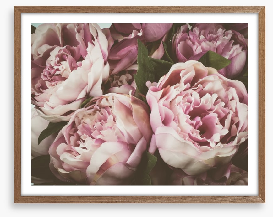 Vintage peony