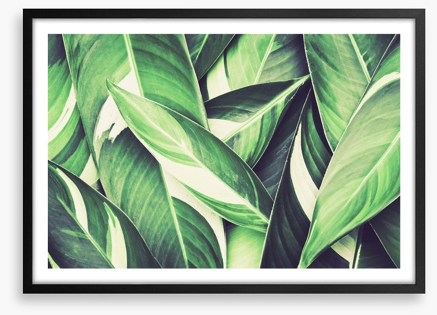 Retro leaves