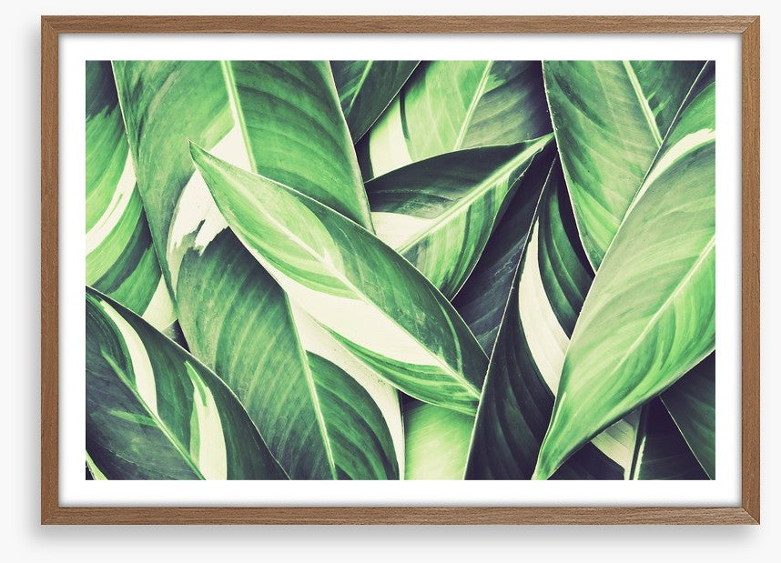 Retro leaves