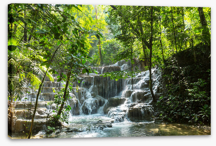 Jungle spray