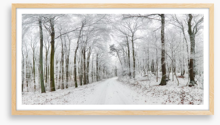 Into the snow forest