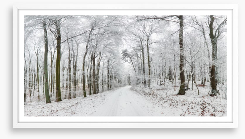 Into the snow forest