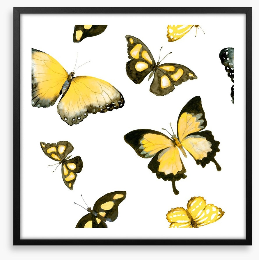 Butterflies