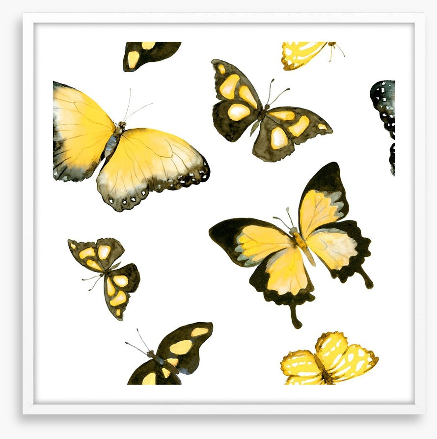 Butterflies