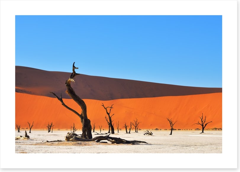 Africa