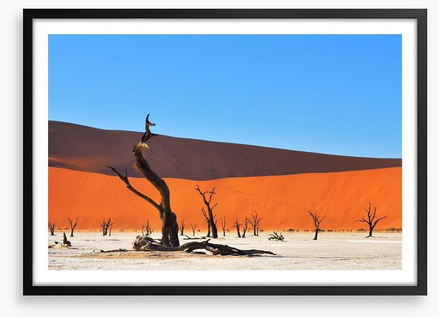 Africa