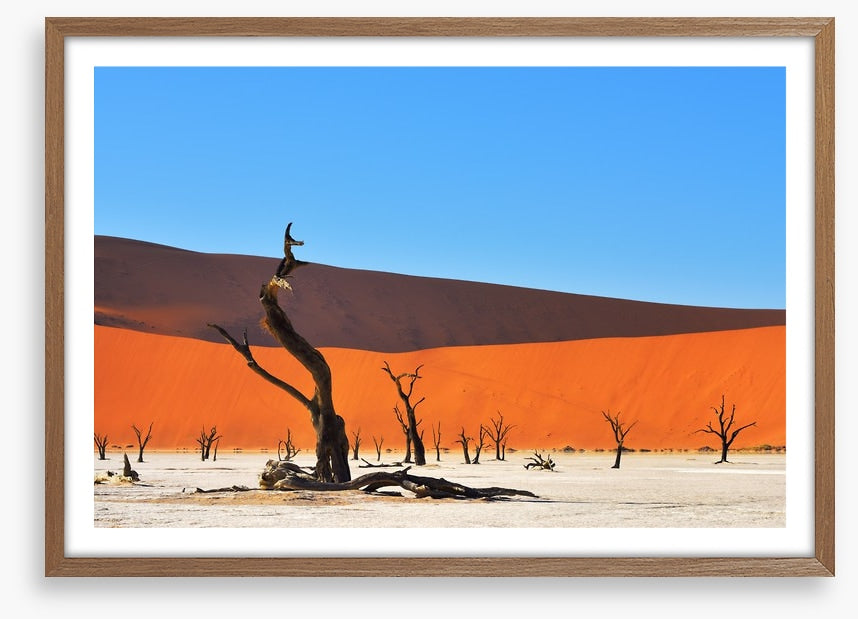 Africa