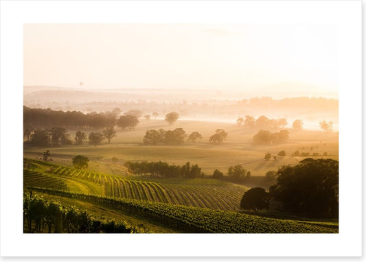 Hunter Valley sunrise