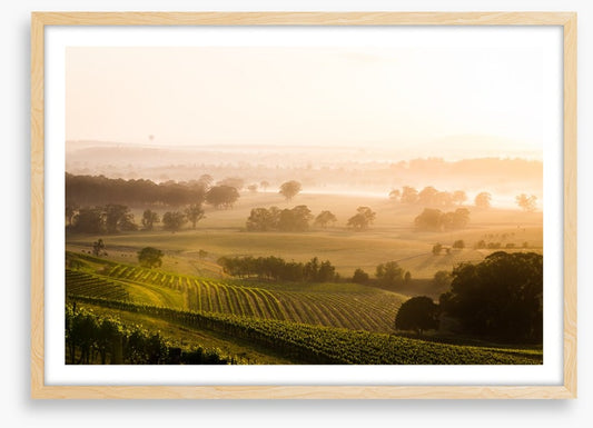 Hunter Valley sunrise
