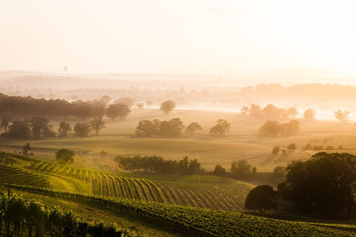 Hunter Valley sunrise