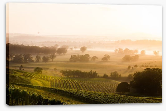 Hunter Valley sunrise