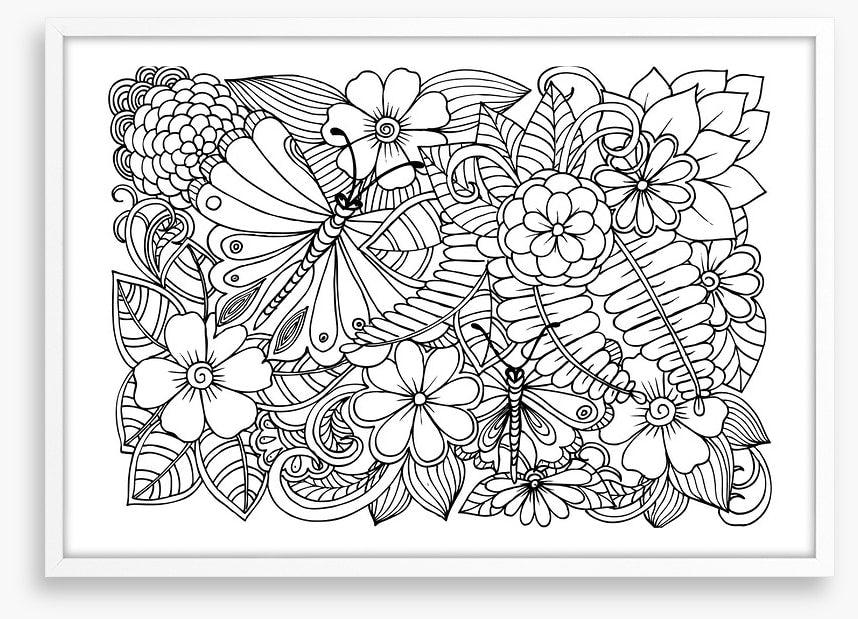 Colour me garden