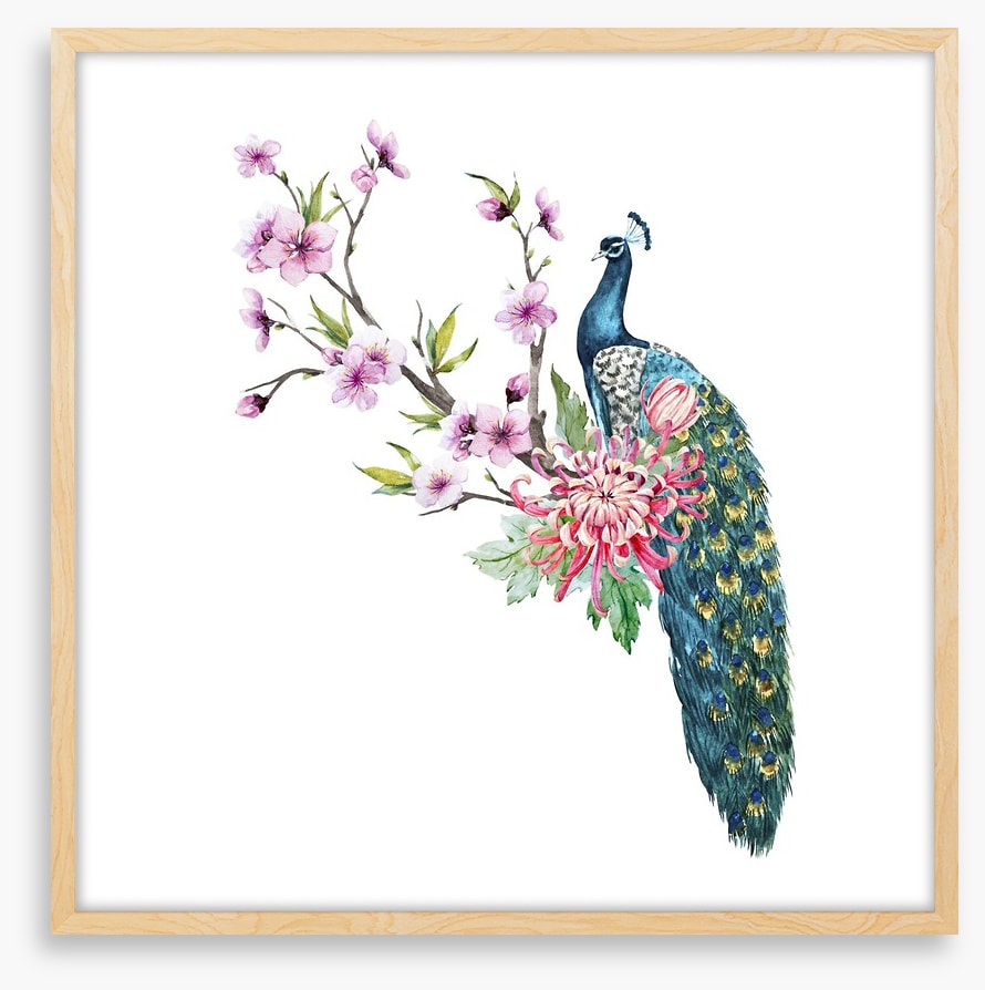 Tropical peacock