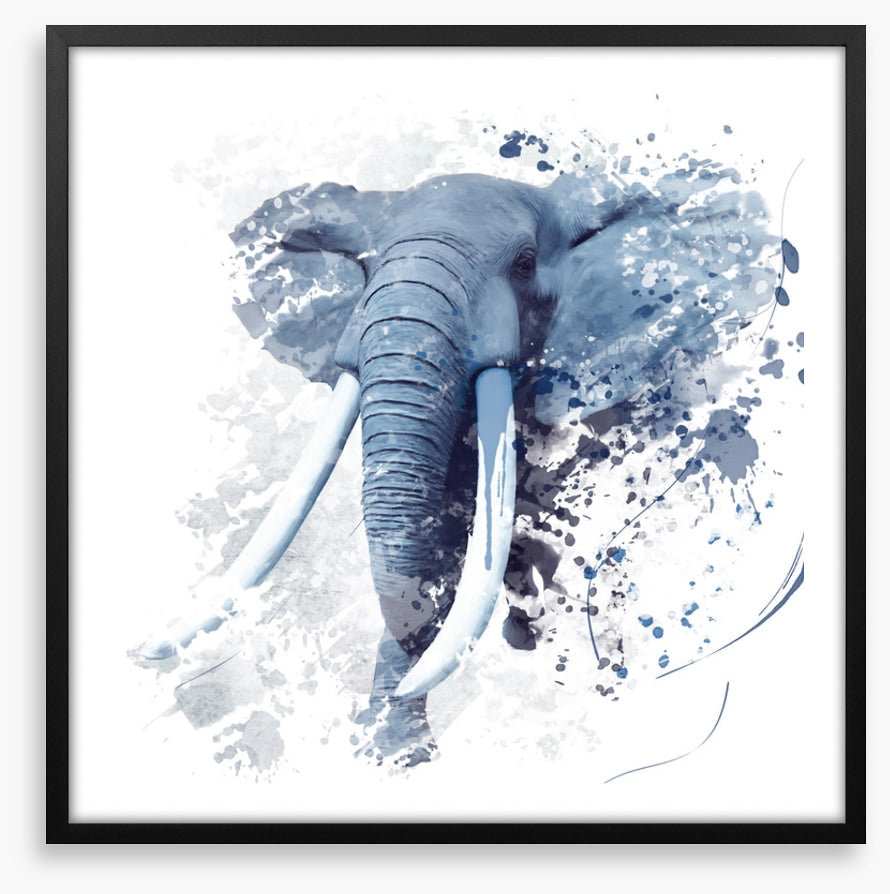 Elephant run