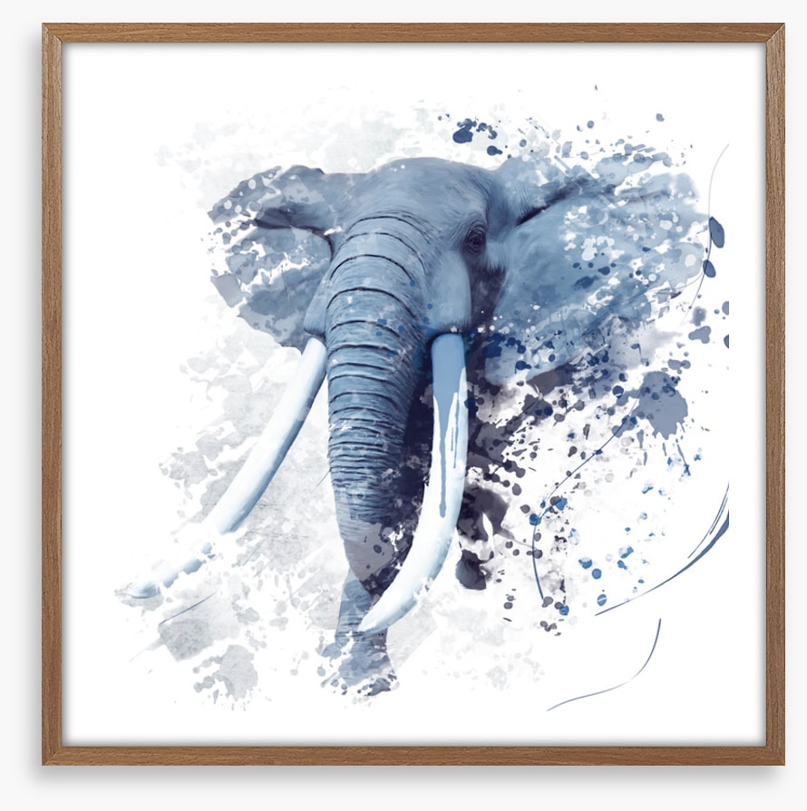 Elephant run