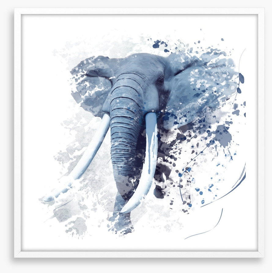 Elephant run