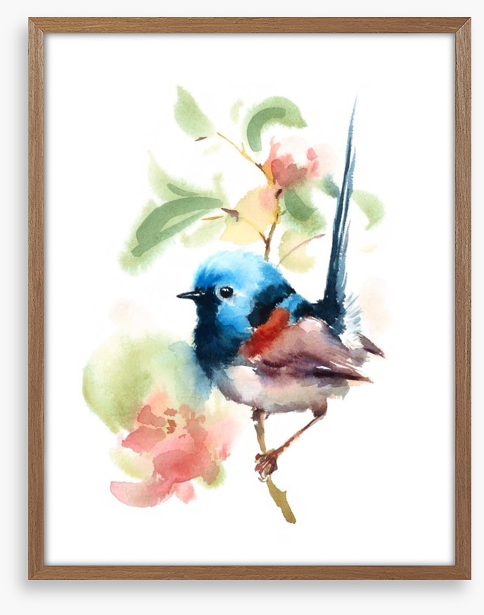 Little fairy wren