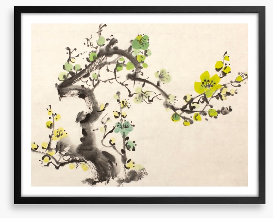 Green plum blossom