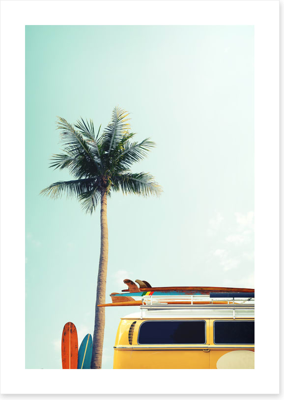 Surfers palm