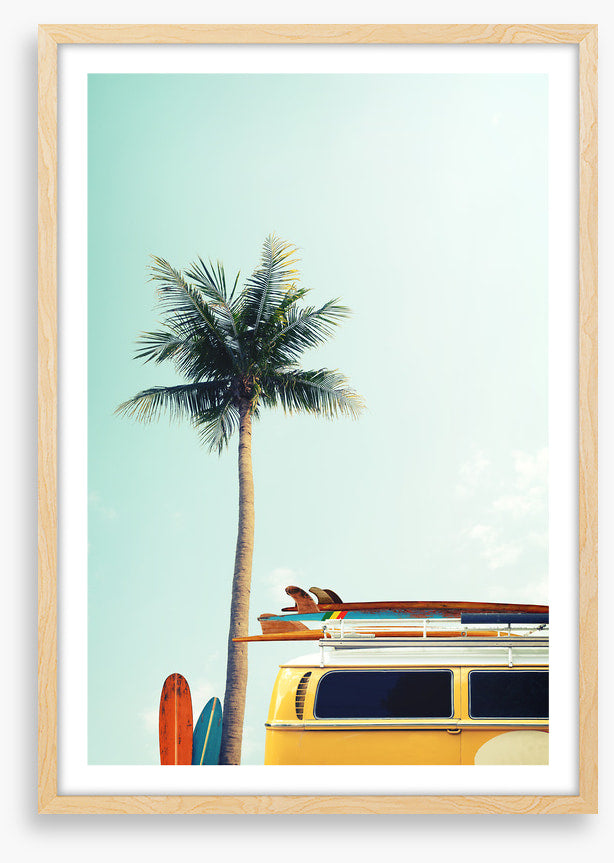 Surfers palm