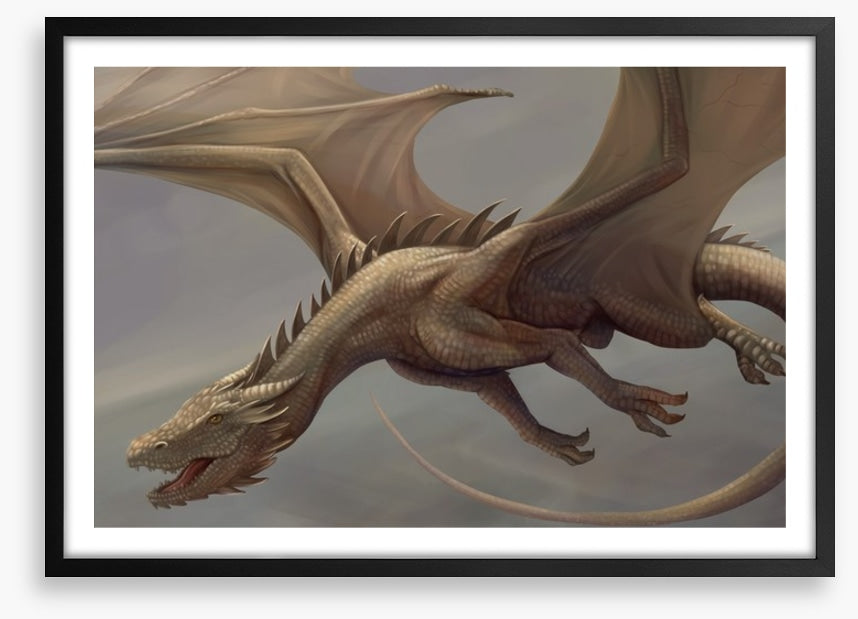 Dragons