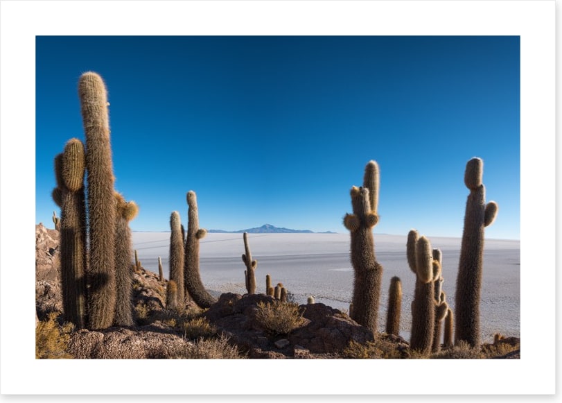 South America