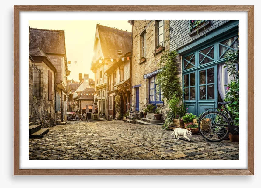 The cobblestone cat