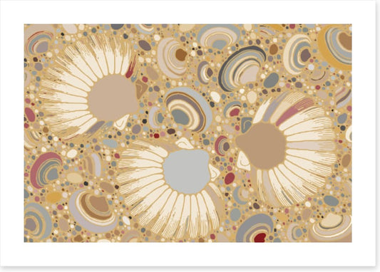 More shell than sand