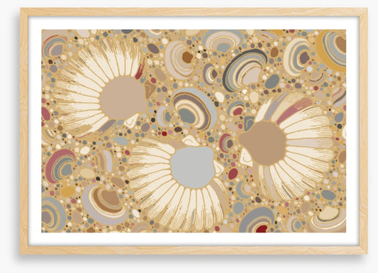 More shell than sand