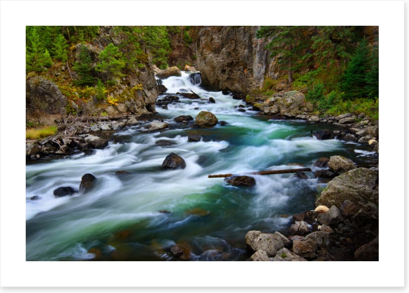 Whitewater wilderness