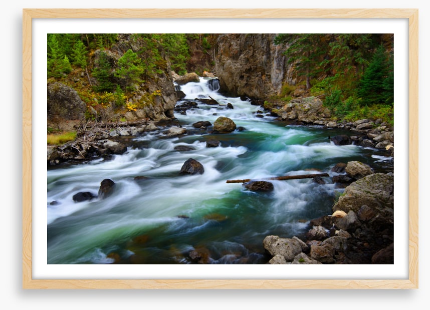 Whitewater wilderness