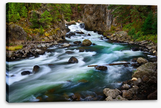 Whitewater wilderness