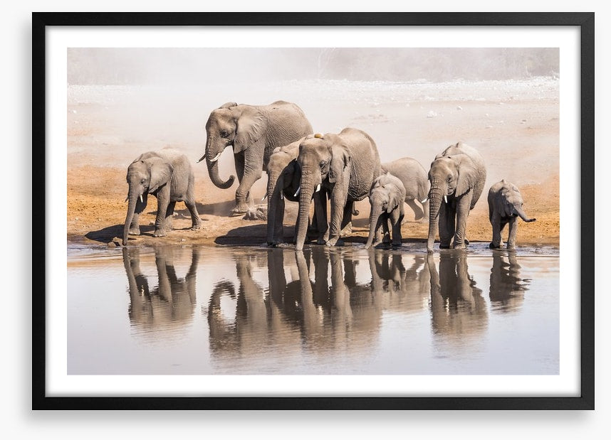 The elephant waterhole
