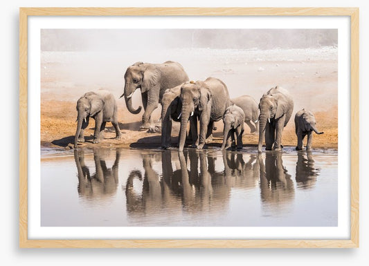 The elephant waterhole