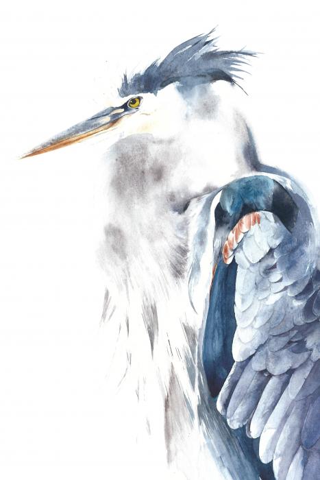 The blue heron