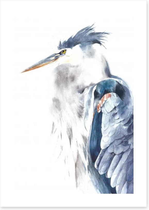 The blue heron