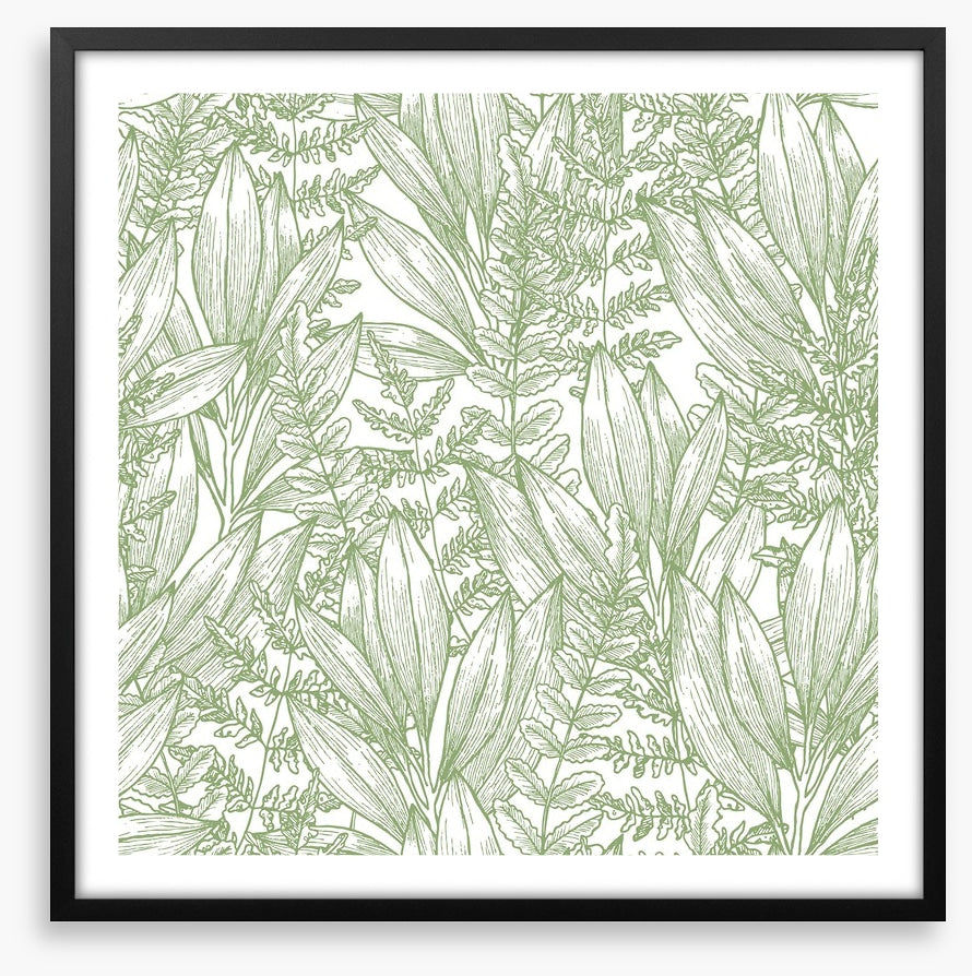 Ferny flora